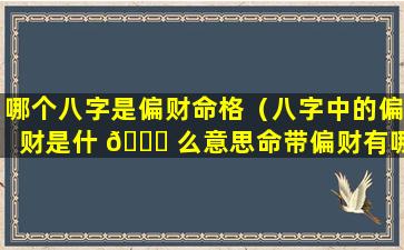 哪个八字是偏财命格（八字中的偏财是什 🍁 么意思命带偏财有哪些作用）